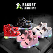 basket lumineuse reine des neiges